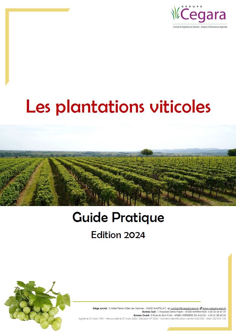 Plantations viticoles déc 2024